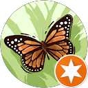 Angel RomanoGlass Angel RomanoGlass